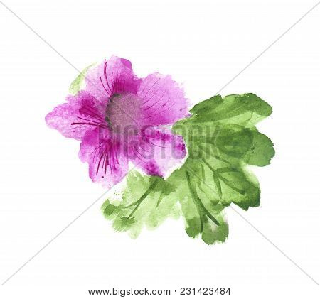 Pink Hibiscus / сhinese Rose With Green Leaves. Watercolor, Hand Drawn Illustration, Isolated On Whi