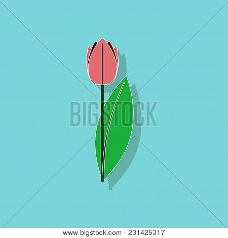 Paper Sticker On Stylish Background Of Plant Tulipa