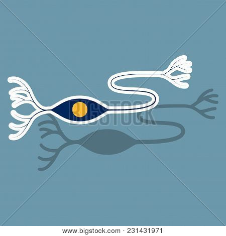 Education Chart Of Biology For Nerve Cell Diagram. Sticker Illustration