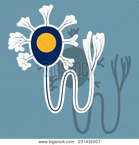 Education Chart Of Biology For Nerve Cell Diagram. Sticker Illustration