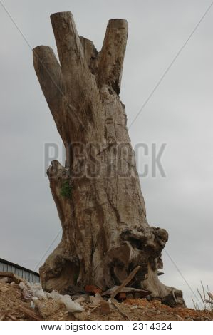 Gili_Chen_069