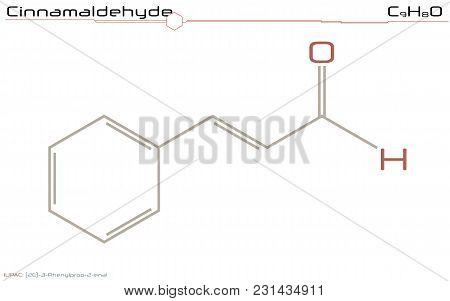 Large And Detailed Infographic Of The Molecule Of Cinnamaldehyde