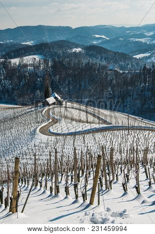 Famous Heart Shaped Wine Road In Slovenia In Winter, Heart Form - Herzerl Strasse, Vineyards In Wint