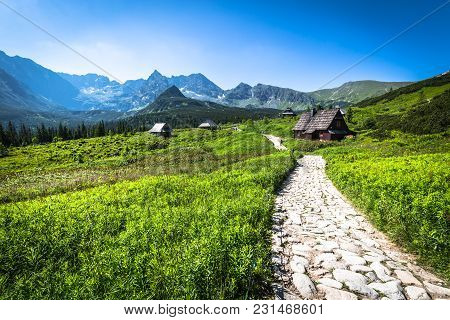 Hala Gasienicowa(valey Gasienicowa) In Tatra Mountains In Zakopane,poland