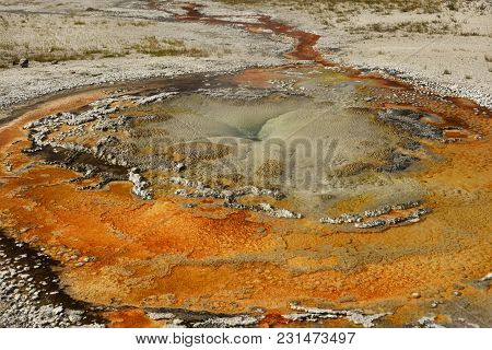 Tardy Geyser, Located In Yellowstone National Park, Wyoming