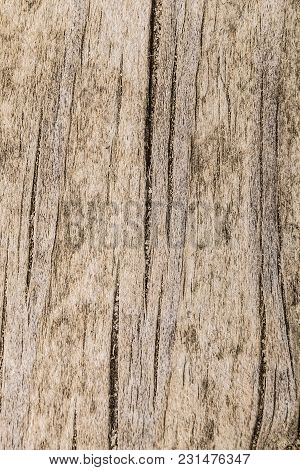 Texture Of The Old Wooden Cracked Board Surface. The Presence Of Knots And Cracks Of Wood Shrinkage.