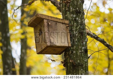 Old Wooden Birdhouse On A Tree In Forest Park , Hand Wood Shelter For Birds To Spend The Winter