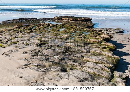 A Rocky Reef Covered By Barnacles And Algae At Swamis Beach In Encinitas, California.