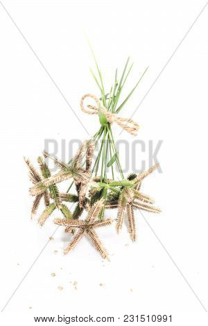 Closeup Of Bouquet Crowfoot Grass Or Beach Wiregrass Or Egyptian Crowfoot Grass On Brown Wooden