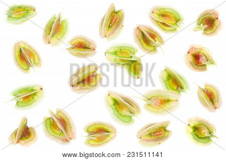 Rhubarb Vegetable Seed Closeup Isolated On White