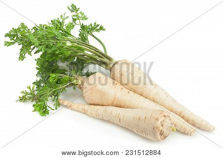 Parsnip Root With Leaf Isolated On White Background