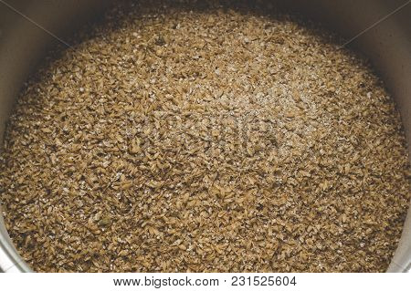 Grinded Grains Of Barley Malt Close-up. Craft Beer Brewing From Grain Barley Pale Malt In Process. A
