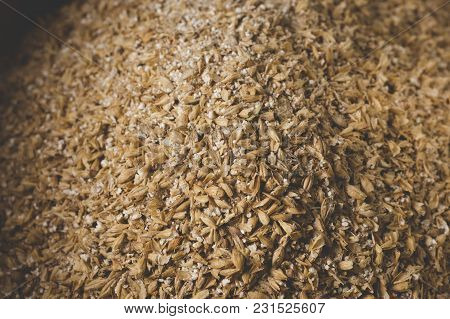 Grinded Grains Of Barley Malt Close-up. Craft Beer Brewing From Grain Barley Pale Malt In Process. A