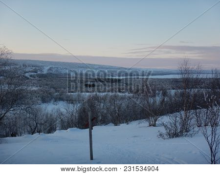 Frozen Trees In Winter Lappland