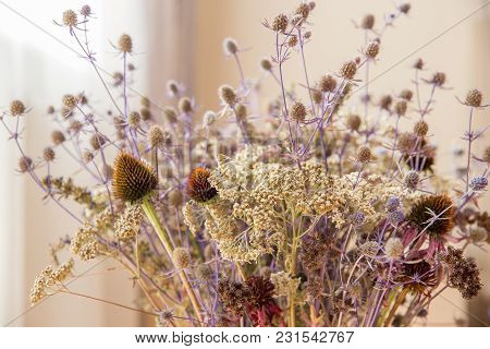 Bouquet Of Dried Wildflowers With Filter Effect Retro Vintage Style, Soft Focus And Blurred