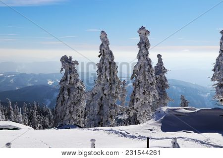 A View From Lysa Hora On Trees Covered By Snow And Mountains Around Me