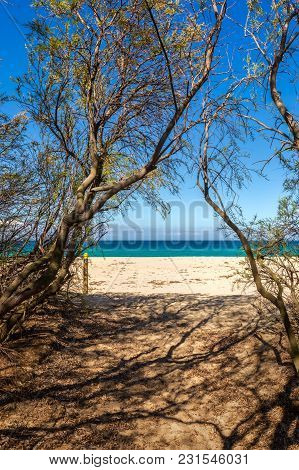 Path Leading Through Trees To A Sandy Beach In Corsica