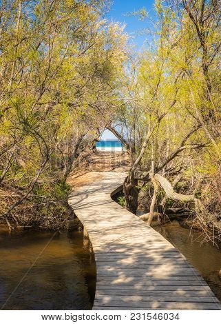 Wooden Footbridge Leading Through Trees To A Sandy Beach In Corsica