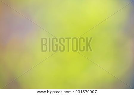 Nature Gradient Backdrop With Bright Sunlight. Abstract Green Blurred Background. Ecology Concept Fo