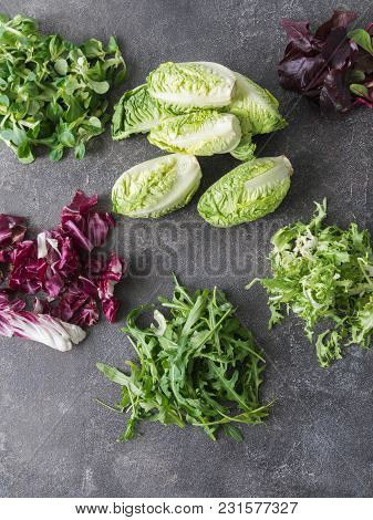 Various Types Of Salad Leaves  On A Grey Background. Little Gem Lettuce, Corn Lettuce, Arugula, Frie