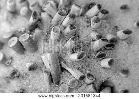 Some Squeezed Cigarettes In An Ashtray In Winter With Snow