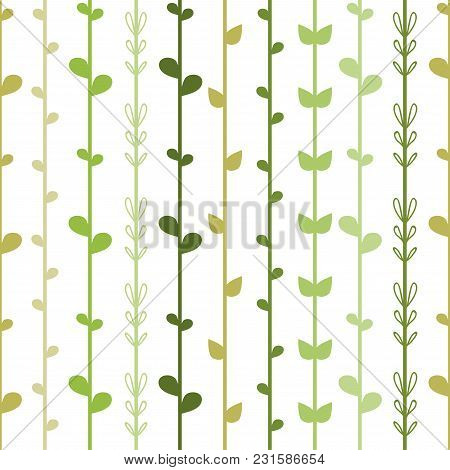 Seamless Floral Background With Green Herb Strings. Ivy On White. Spring Stripy Vector Illustration.