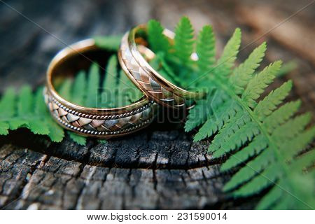 Beautiful Wedding Rings Lie With A Green Leaf