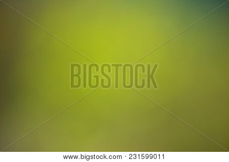 Nature Gradient Backdrop With Bright Sunlight. Abstract Green Blurred Background. Ecology Concept Fo