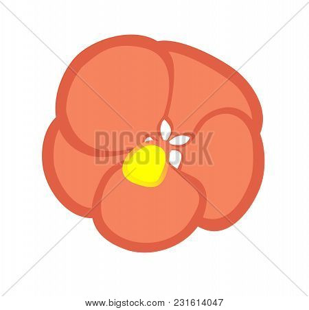 Vector Illustration, Flat Cartoon Red Abutilon Flower Isolated On White Background