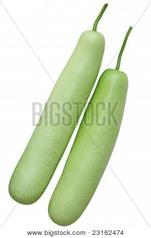ผลไม้ Vulgaris Lagenaria