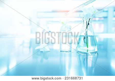 Nuture White Orchid Flower With Flask And Vial With Drop Of Water In Blue Biotechnology Science Back