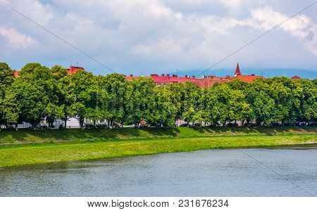 Part Of The Linden Alley On The Embankment Of River Uzh. Beautiful Sunny Summer Day In Uzhgorod Town