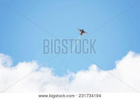 cedar waxwing flying against a blue sky with jet plan contrails coming out of the tail