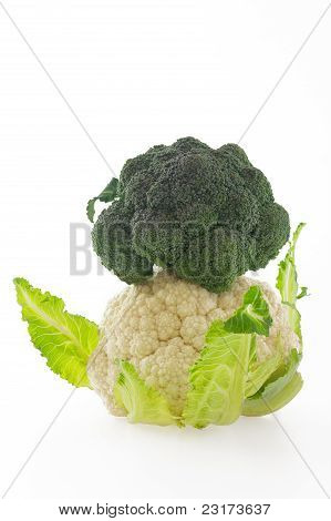 Blumenkohl und Broccoli auf weißem Hintergrund