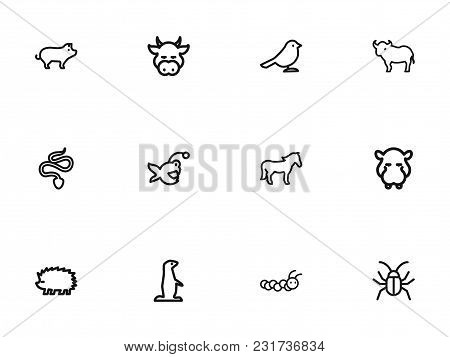 Set Of 12 Editable Zoo Icons Line Style. Includes Symbols Such As Larva, Crow, Fish And More. Can Be