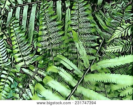 Fern Leaf Retro Digital Illustration. Fresh Green Tropical Leaf. Floral Wedding Background. Summer F