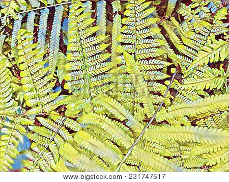 Fern Leaf Retro Digital Illustration. Yellow Green Tropical Leaf. Floral Wedding Background. Summer 