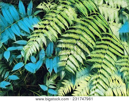 Fern Leaf Retro Digital Illustration. Cyan Green Tropical Leaf. Floral Wedding Background. Summer Fo