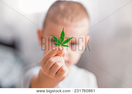 Smiling Kid Child Holding A Hemp Leaf. Concepts Of Using Marihuna For Medicinal Purposes For Childre