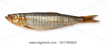 Side view of smoked european sprat isolated on white