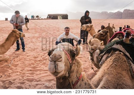 Wadi Rum, Jordan - December, 25, 2017: Tourists And Bedouins Near Camals In Wadi Rum Desert In Jorda