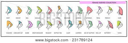 Female Sleeves Of All Lengths And Sizes Collection In Various Styles. Womens Clothes Designs For For