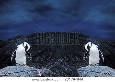 Closeup Dual Magellanic Penguins Stand On A Rock Isolated On Nature Background