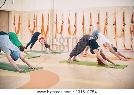 Group Of People Doing Yoga Downward Facing Dog Pose - Adho Mukha Svanasana On Mats At Studio