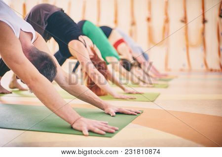 Group Of People Doing Yoga Downward Facing Dog Pose - Adho Mukha Svanasana On Mats At Studio
