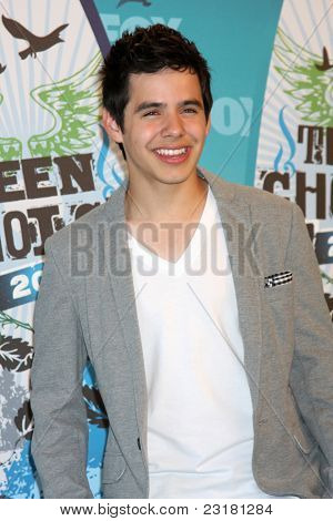 LOS ANGELES - 8 sierpnia: David Archuleta w sali prasowej w 2010 Teen Choice Awards w Gibson