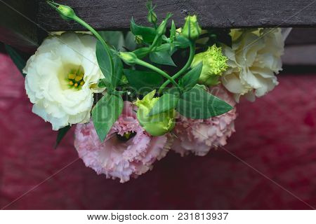 Natural Background Bouquet Of White And Pink Eustoms Top View