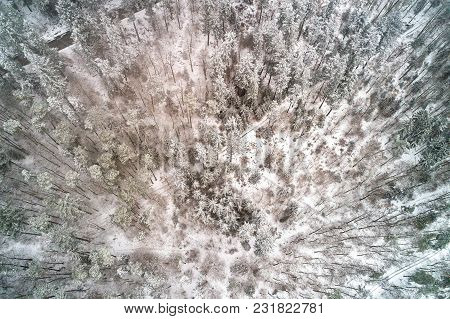 Top View Of A Forest In The Vosges Mountains In Winter. Alsace, France