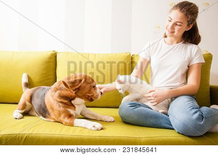 The Girl Is Trying To Make Frienfly Atmosphere Between Cat And Dog