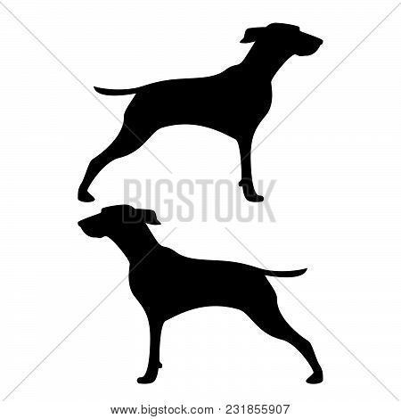 Hunter Dog Or Gundog Icon Black Color Vector Illustration Flat Style Simple Image